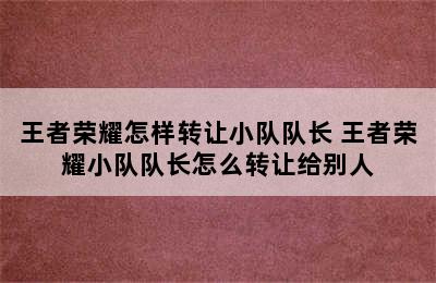 王者荣耀怎样转让小队队长 王者荣耀小队队长怎么转让给别人